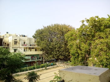 Trees against clear sky