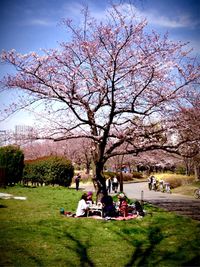 Man relaxing in park