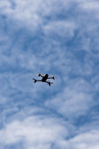 Low angle view of eagle flying against sky