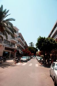 City street by palm trees and buildings against sky