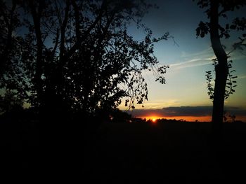 Silhouette tree against sky during sunset