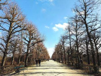 Empty road along bare trees against sky