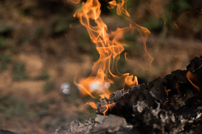 Close-up of bonfire