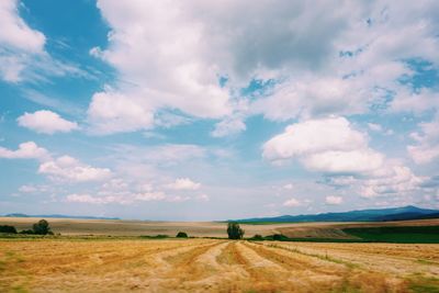 Scenic view of field against sky