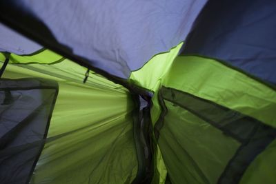 Close-up of tent on plant