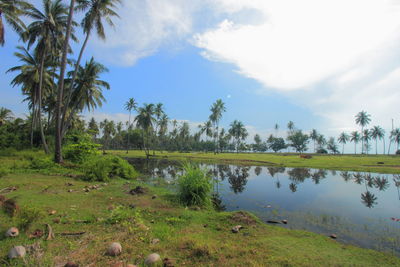Scenic view of waterfall on field against sky