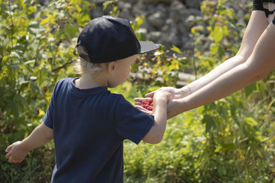 The child takes the raspberry from his hands and eats it