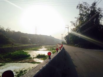 Sun shining through trees