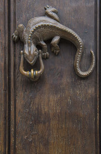 Door knocker at building in catagena - columbia