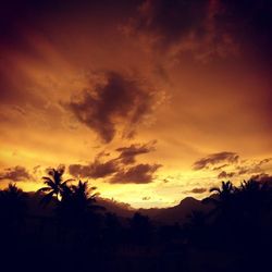 Scenic view of landscape at sunset