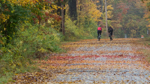 Rear view of two people walking in forest