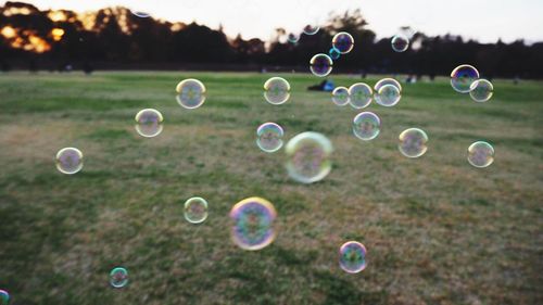 Close-up of bubbles