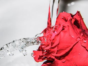 Close-up of red water over white background