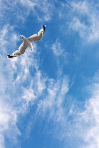 Low angle view of seagulls flying against sky