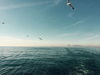 Seagulls flying over sea against sky