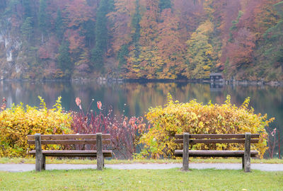 Bench in park during autumn