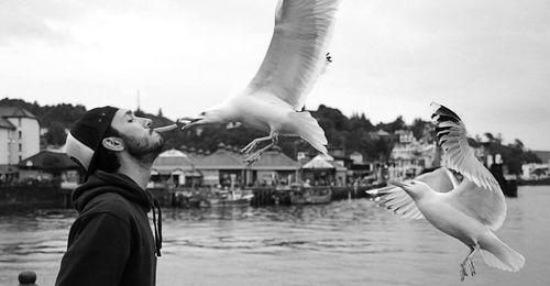 Bird flying over sea