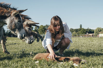Woman stroking donkey on land against clear sky