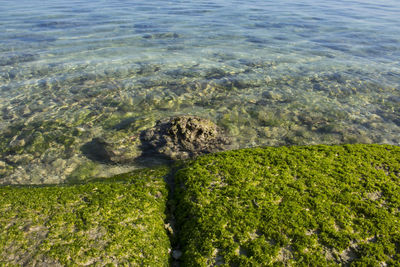 High angle view of a sea
