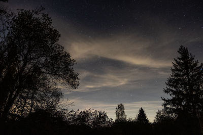 Low angle view of silhouette trees against sky at night