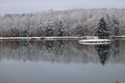 Reflection of trees in lake against sky during winter