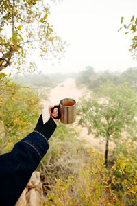 Coffee on safari in the timbavati private game reserve, south africa