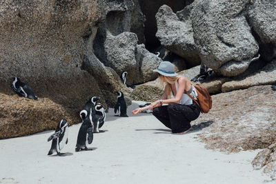 Woman with penguins crouching at beach