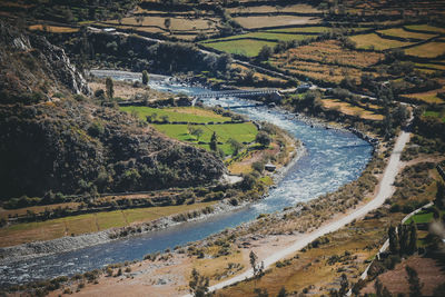 High angle view of agricultural field