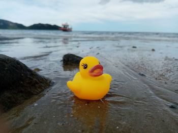 Close-up of yellow toy on beach