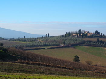 Scenic view of agricultural field against sky