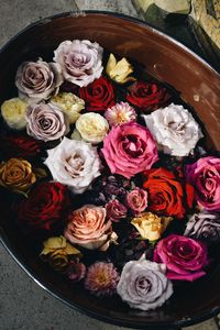 High angle view of flowers in water 