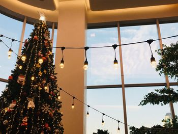 Low angle view of christmas tree against sky