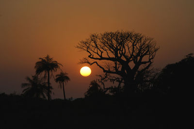 Low angle view of silhouette tree against orange sky