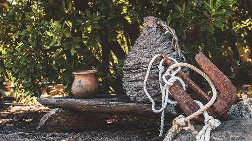 Old rusty metal sculpture on tree trunk