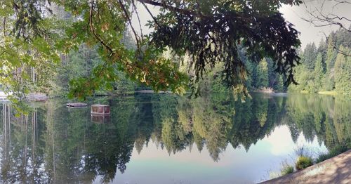 Reflection of trees in lake against sky