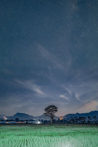 Scenic view of field against sky at night