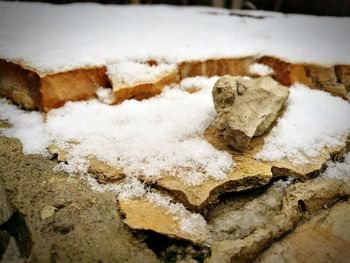 Close-up of snow