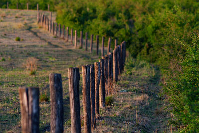 Wooden fence on field