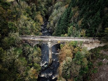 High angle view of bridge over river in forest