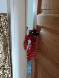 Close-up of red hanging on wooden door at home