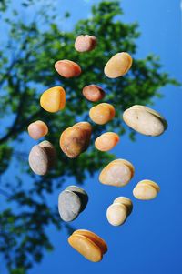 Low angle view of fruits on tree against blue sky