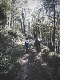 Rear view of people walking on footpath in forest