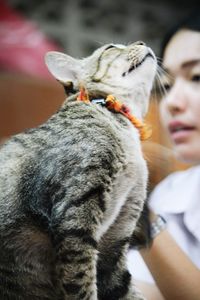 Close-up of hand with cat