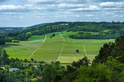 The view from box hill, surrey