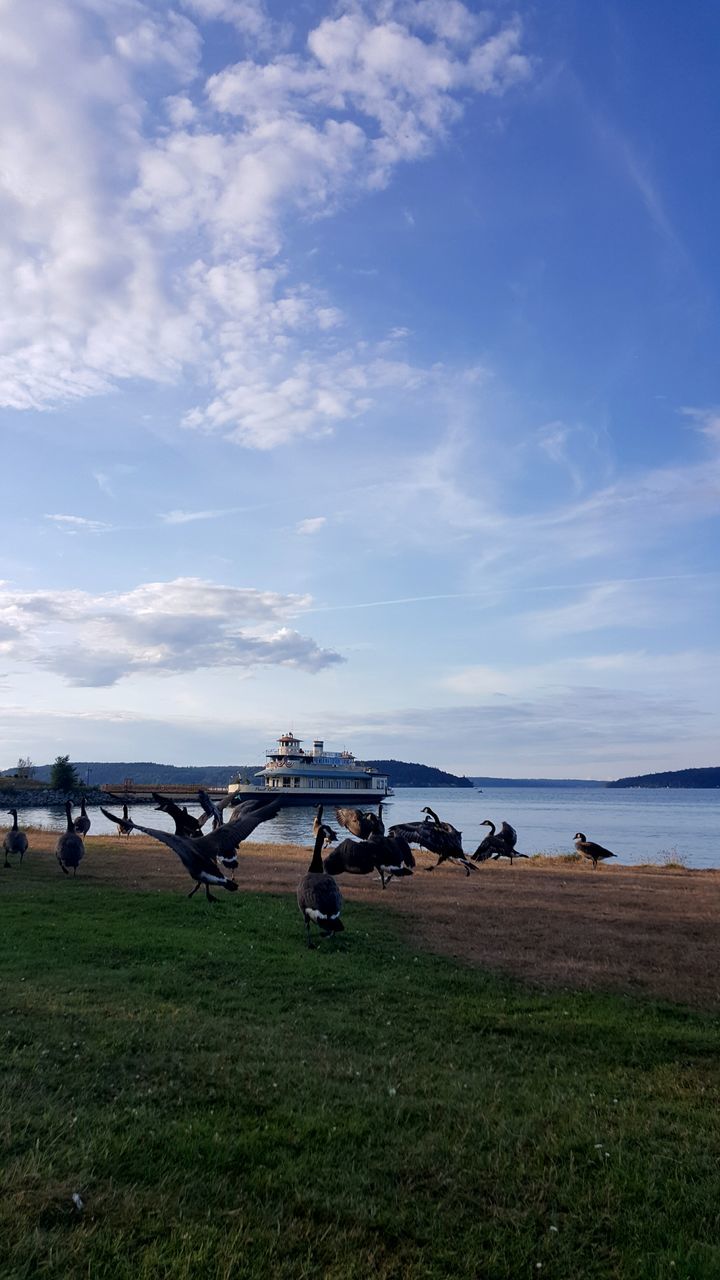 sky, grass, water, tranquil scene, tranquility, scenics, cloud - sky, nature, beauty in nature, cloud, blue, sea, lake, landscape, field, outdoors, day, idyllic, no people, cloudy