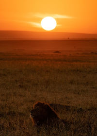 Scenic view of sunset over land