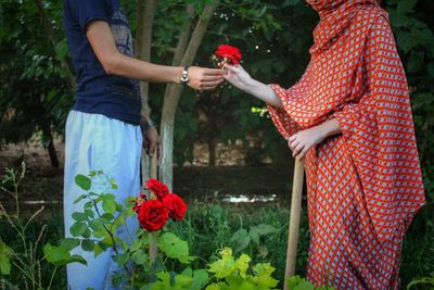 Midsection of man giving rose to woman on field