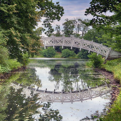 Reflection of trees in river