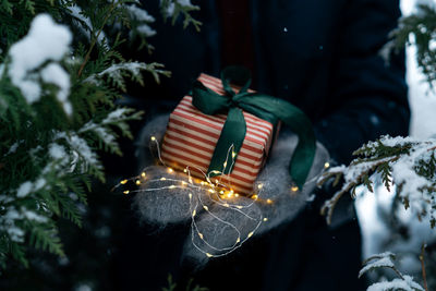 Midsection of woman holding christmas tree