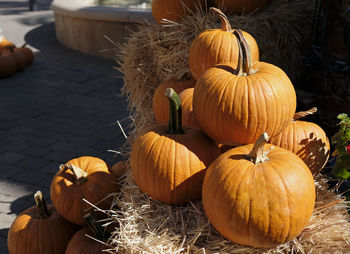 High angle view of pumpkins for sale